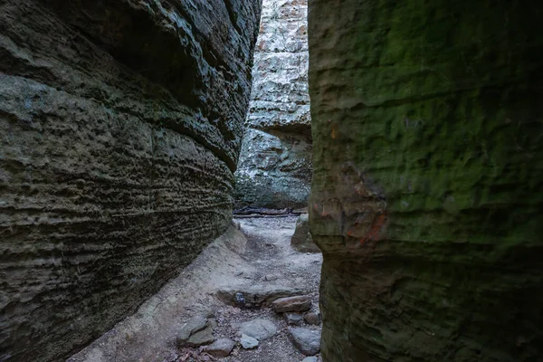 Stock image Nature trail through sandstone bluffs at Giant City State Park, Illinois, USA.