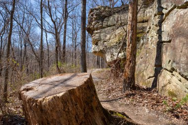 Güneşli bir bahar sabahı Giant City Eyalet Parkı 'nda yürüyüş parkında..