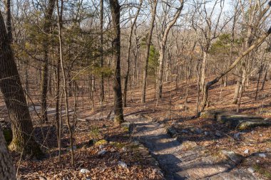 Güneşli bir bahar sabahı Giant City Eyalet Parkı 'nda yürüyüş parkında..