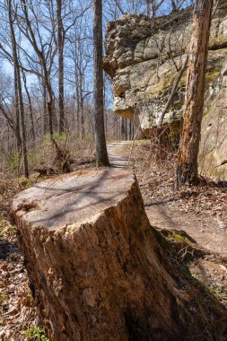 Güneşli bir bahar sabahı Giant City Eyalet Parkı 'nda yürüyüş parkında..