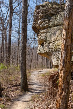 Güneşli bir bahar sabahı Giant City Eyalet Parkı 'nda yürüyüş parkında..