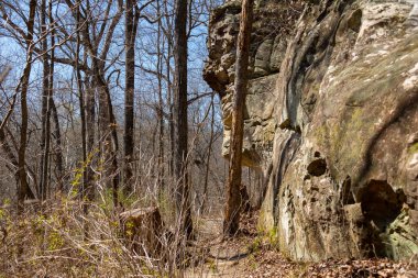 Güneşli bir bahar sabahı Giant City Eyalet Parkı 'nda yürüyüş parkında..