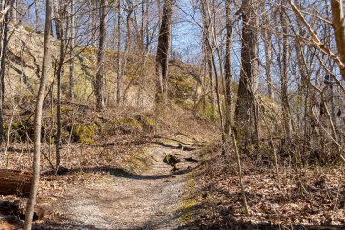 Güneşli bir bahar sabahı Giant City Eyalet Parkı 'nda yürüyüş parkında..