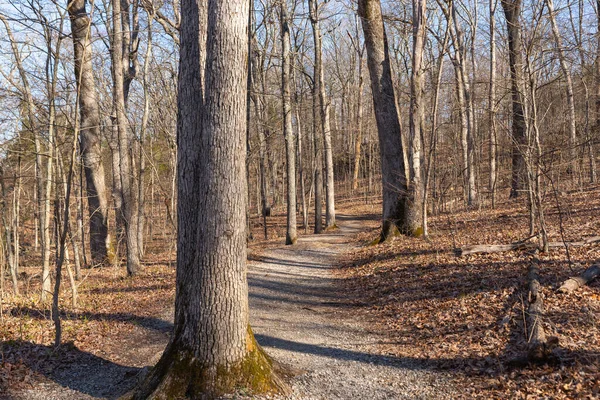 Hiking Trail Giant City State Park Sunny Spring Morning — Stock Photo, Image