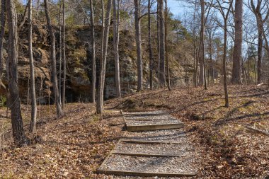 Güneşli bir bahar sabahı Giant City Eyalet Parkı 'nda yürüyüş parkı. Makanda, Illinois, ABD.