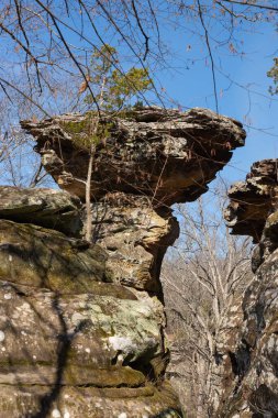 Güneşli bir bahar sabahı Giant City Eyalet Parkı 'nda Şeytanın Standart Kaya oluşumu.