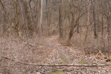 Bulutlu bir bahar sabahı Johnson Sauk Patikası Eyalet Rekreasyon Bölgesi 'nde yürüyüş parkurunda. Kewanee, Illinois, ABD.