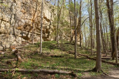 Illinois Kanyonu 'nda ilkbahar manzarası. Aç Rock State Park, Illinois, ABD.