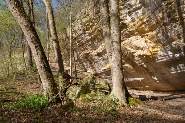 伊利诺伊州峡谷的春天风景 美国伊利诺伊州饥饿的岩石州立公园 — 图库照片