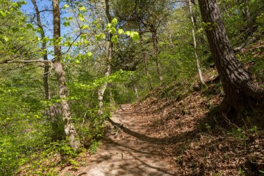 Güzel bir bahar sabahı LaSalle Kanyonu 'nda yürüyüş parkurunda. Aç Rock State Park, Illinois, ABD.