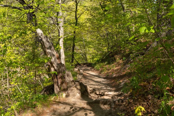 Hiking Trail Lasalle Canyon Beautiful Spring Morning Starved Rock State — Stock Photo, Image