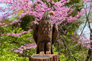 Oglesby, Illinois - ABD - 26 Nisan 2023: Kel Kartal güzel bir bahar sabahı Açlık Kayası Parkı 'nda oyma.