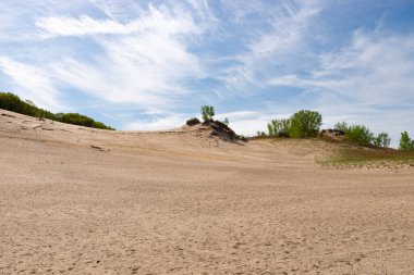 Güneşli bir sabahta kum tepeleri ve bahar manzarası. Warren Dunes Eyalet Parkı, Michigan, ABD.