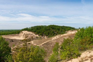 Güneşli bir sabahta kum tepeleri ve bahar manzarası. Warren Dunes Eyalet Parkı, Michigan, ABD.