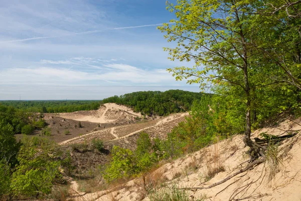 Güneşli bir sabahta kum tepeleri ve bahar manzarası. Warren Dunes Eyalet Parkı, Michigan, ABD.