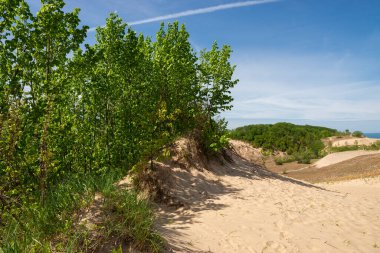 Güneşli bir sabahta kum tepeleri ve bahar manzarası. Warren Dunes Eyalet Parkı, Michigan, ABD.