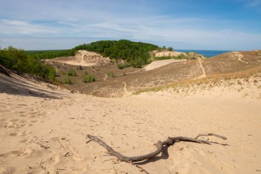 Güneşli bir sabahta kum tepeleri ve bahar manzarası. Warren Dunes Eyalet Parkı, Michigan, ABD.