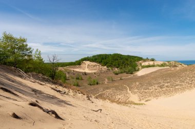Güneşli bir sabahta kum tepeleri ve bahar manzarası. Warren Dunes Eyalet Parkı, Michigan, ABD.