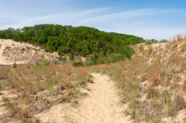Güzel bir bahar sabahında kum tepelerinde yürüyüş yapmak. Warren Dunes Eyalet Parkı, Michigan, ABD.