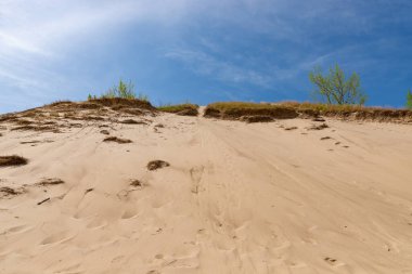 Güneşli bir sabahta kum tepeleri ve bahar manzarası. Warren Dunes Eyalet Parkı, Michigan, ABD.