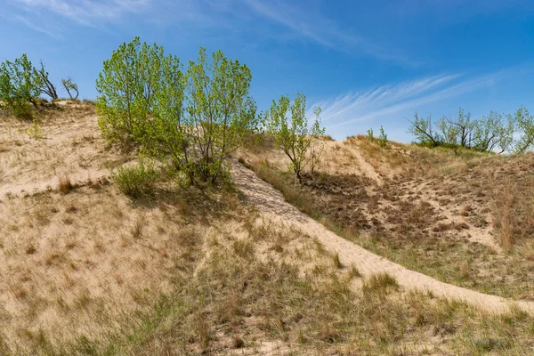 Güneşli bir sabahta kum tepeleri ve bahar manzarası. Warren Dunes Eyalet Parkı, Michigan, ABD.