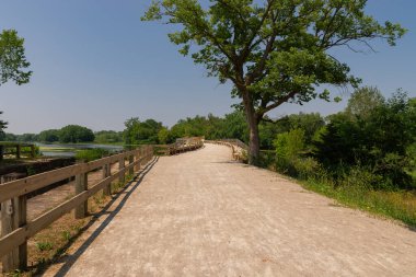 Güneşli bir yaz öğleden sonrasında Channahon Eyalet Parkı 'nda bisiklet yolu ve patika. Channahon, Illinois, ABD.