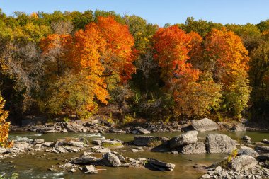 Oglesby, Illinois, ABD Vermillion Nehri 'nde güzel bir sonbahar sabahı..