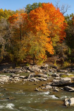 Oglesby, Illinois, ABD Vermillion Nehri 'nde güzel bir sonbahar sabahı..