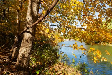 Vermillion Nehri boyunca Oglesby, Illinois, ABD 'de güneşli bir sonbahar günü manzarası.