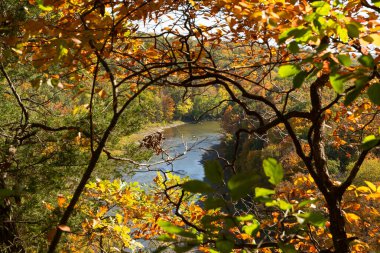 Amerika 'nın Illinois eyaletindeki Matthiessen Eyalet Parkı' ndaki Sonbahar ağaçlarından Vermillion Nehri 'ne bakıyorum..