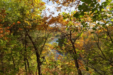 Amerika 'nın Illinois eyaletindeki Matthiessen Eyalet Parkı' ndaki Sonbahar ağaçlarından Vermillion Nehri 'ne bakıyorum..