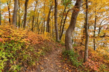 ABD 'nin Illinois eyaletindeki Starved Rock State Park' taki Bluff Trail 'de sonbahar manzarası.