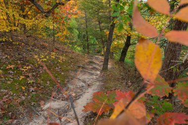 ABD 'nin Illinois eyaletindeki Starved Rock State Park' taki Bluff Trail 'de sonbahar manzarası.