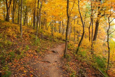 ABD 'nin Illinois eyaletindeki Starved Rock State Park' taki Bluff Trail 'de sonbahar manzarası.