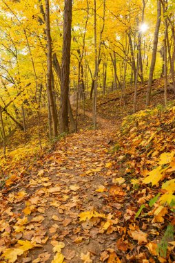 ABD 'nin Illinois eyaletindeki Starved Rock State Park' taki Bluff Trail 'de sonbahar manzarası.