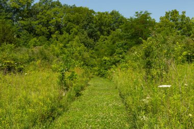 Minooka, Illinois, ABD 'deki Baker Ormanı Koruma Alanı' nda yürüyüş rotası..