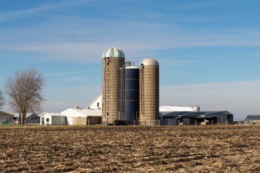 Livingston County, Illinois, ABD 'de güneşli bir kış gününde çiftlikler ve silolar.