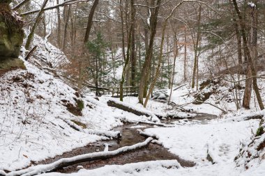 ABD 'nin Illinois eyaletindeki Starved Rock State Park' taki St. Louis Kanyonu 'nda kar yağdı..
