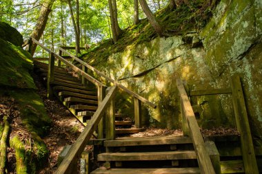Indiana, ABD 'deki Turkey Run State Park' ta yürüyüş yolu.