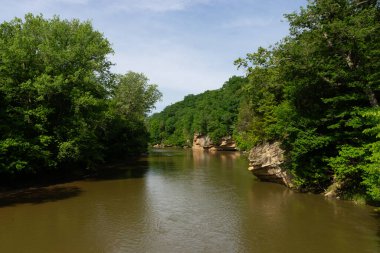 Sugar Creek, Türkiye Run State Park, Indiana, ABD 'de sabah ışığında.