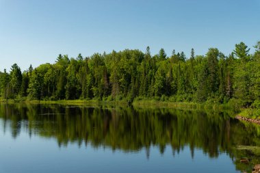 ABD 'nin Wisconsin eyaletindeki Pattison State Park' taki Interfalls Gölü 'nün sabah ışığı ve yansımaları..