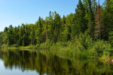 ABD 'nin Wisconsin eyaletindeki Pattison State Park' taki Interfalls Gölü 'nün sabah ışığı ve yansımaları..