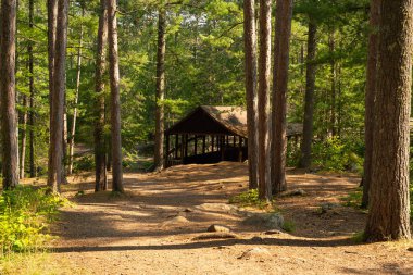 Wisconsin, ABD 'deki Amnicon Falls Eyalet Parkı' nda yürüyüş yolu..