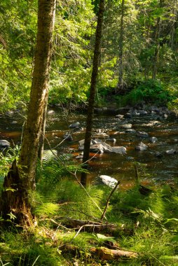 Summer landscape at Pattison State Park in Wisconsin, USA. clipart