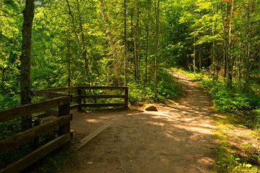 Wisconsin, ABD 'deki Pattison Eyalet Parkı' ndaki Big Falls Yürüyüş Yolu 'nda yaz manzarası.