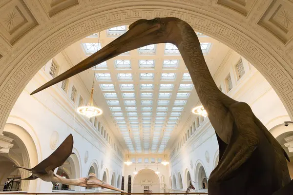 Chicago, Illinois - ABD - 6 Ocak 2025: Chicago, Illinois, ABD 'deki Field Doğa Tarihi Müzesi.