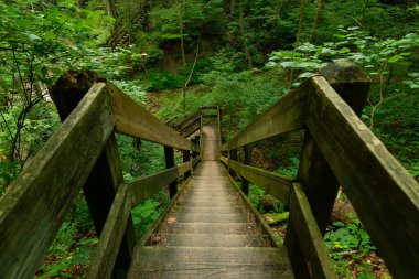 Indiana, ABD 'deki Shades State Park' ta yürüyüş yolunda tahta patika..
