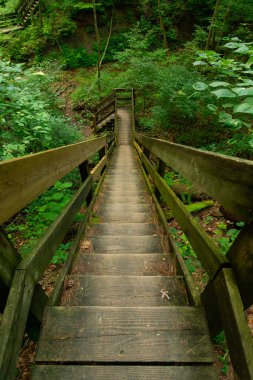 Indiana, ABD 'deki Shades State Park' ta yürüyüş yolunda tahta patika..