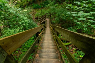 Indiana, ABD 'deki Shades State Park' ta yürüyüş yolunda tahta patika..