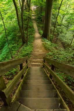 Indiana, ABD 'deki Shades State Park' ta bir yaz sabahı yürüyüş parkında.